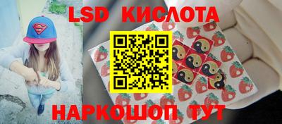 PSILOCYBIN Бугуруслан