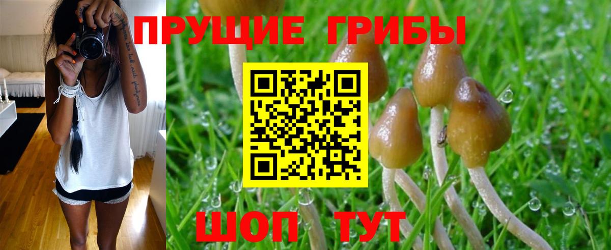 закладка  Вход с VPN  Междуреченск  Псилоцибиновые грибы Psilocybine cubensis  Псилоцибиновые грибы Magic Shrooms 